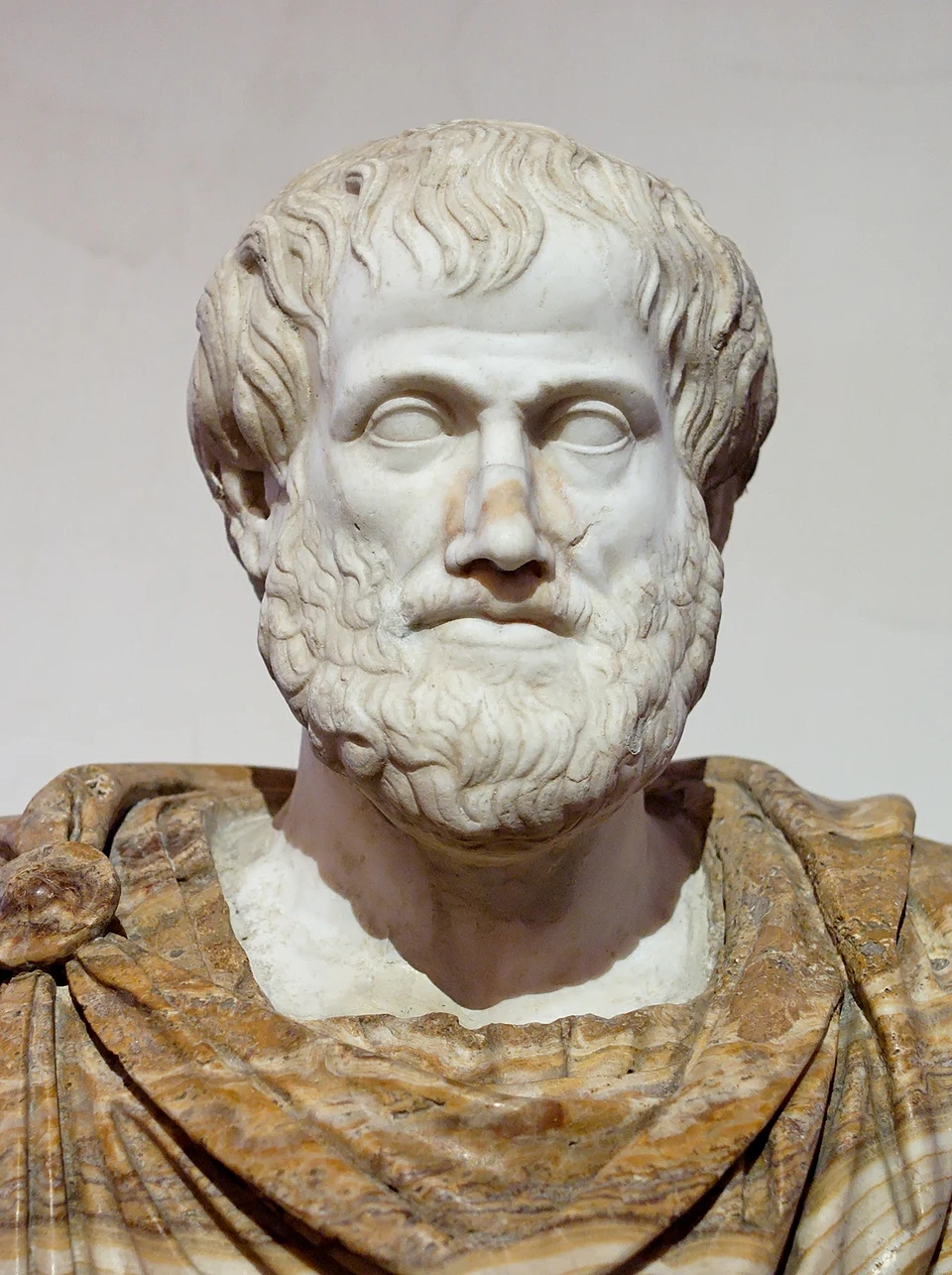 a marble bust of Aristotle