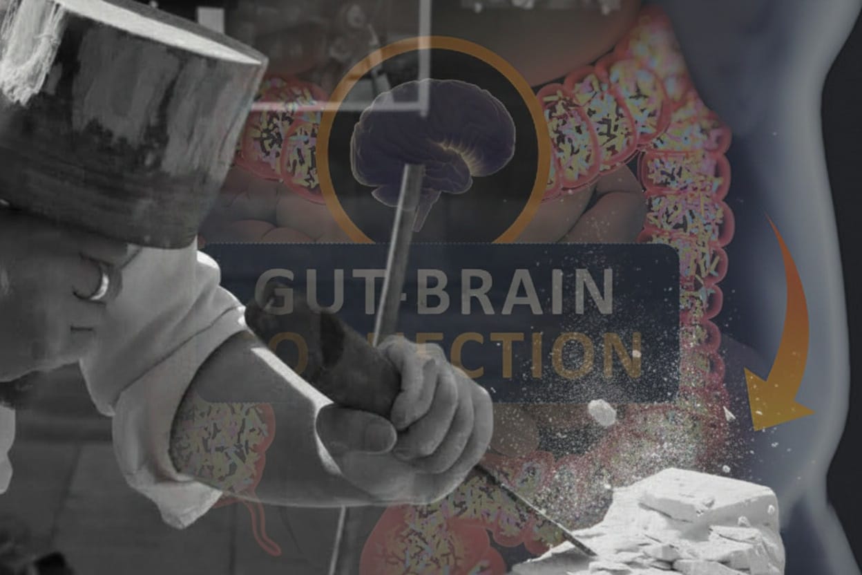 Master stone carver engaging in mechanical transduction for biological longevity.